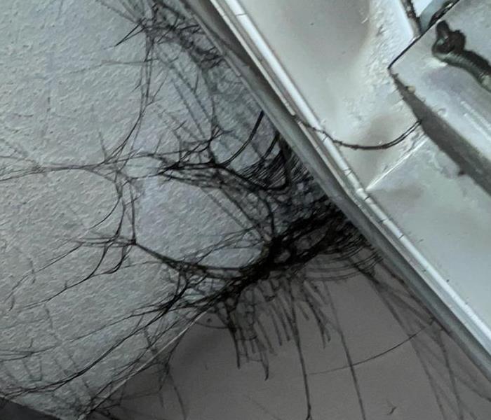 black spider web like covered in soot