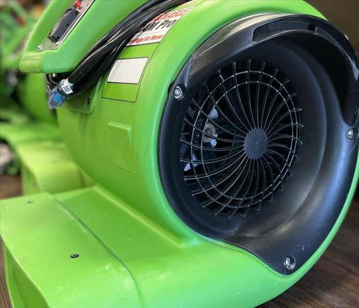 Green fan