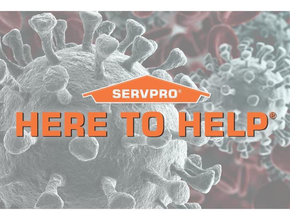 Servpro logo and mold spores in the background 