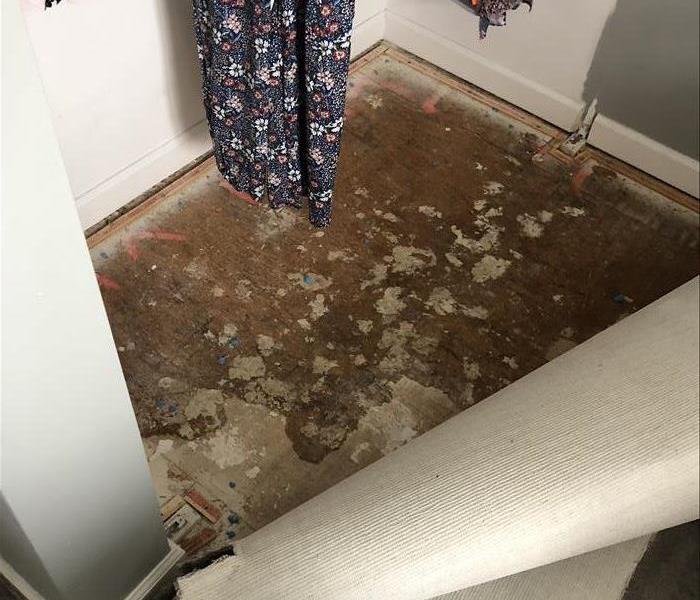 Water Damage - Chatham County Lee County